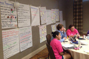 The 2015 National Keystone Conference Teen Steering Committee